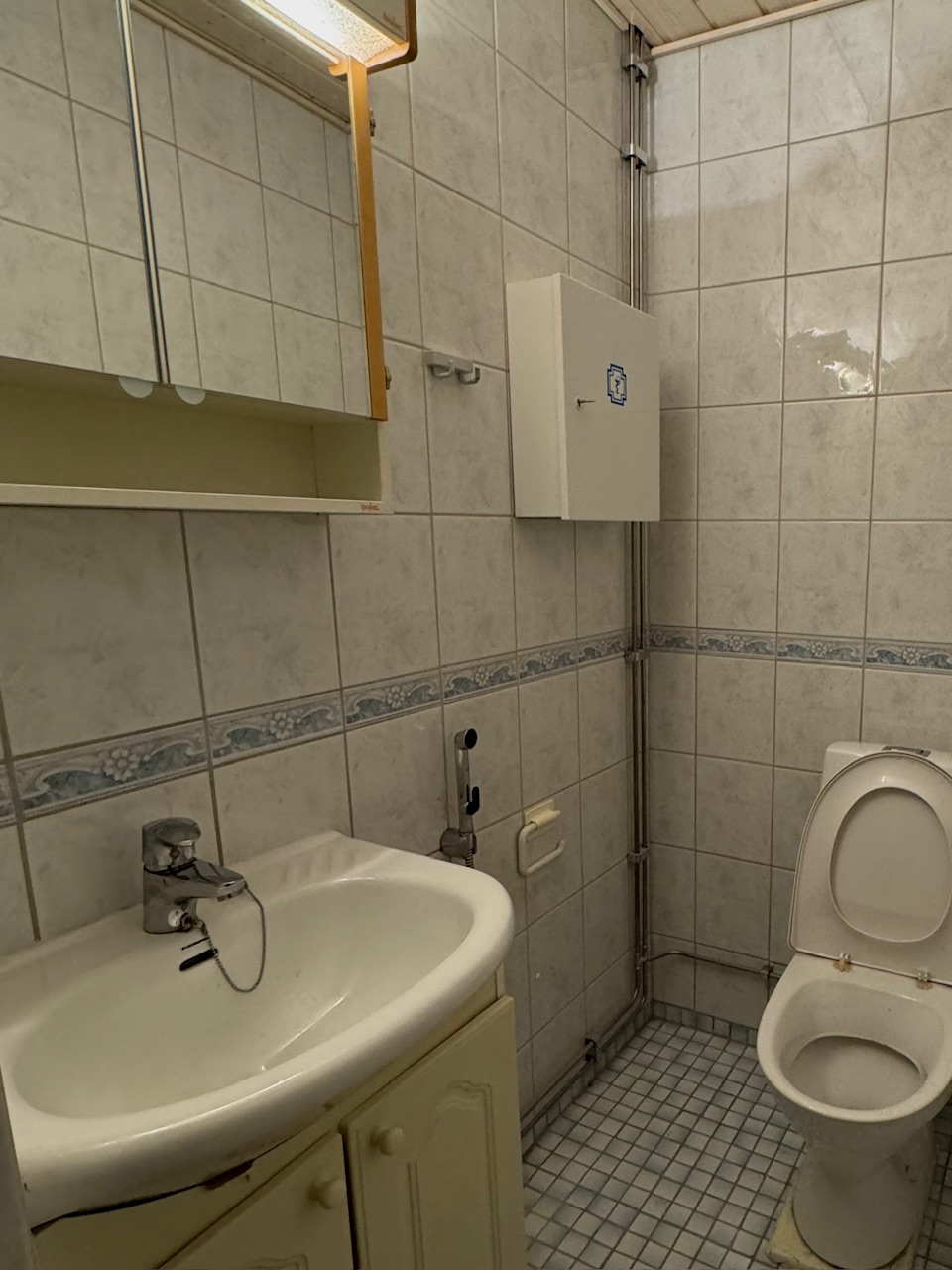 WC remontti ennen - Saunatehdas